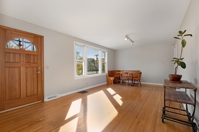 foyer featuring plenty of natural light, light hardwood / wood-style floors, and track lighting