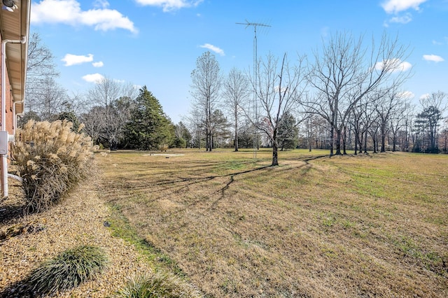 view of yard