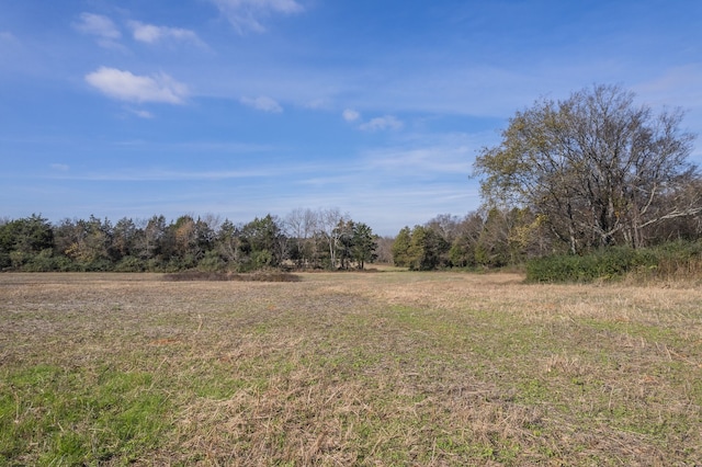 view of local wilderness with a rural view