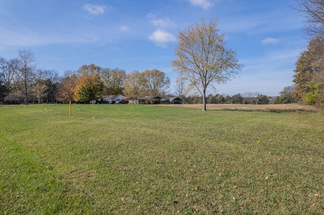 view of yard with a rural view