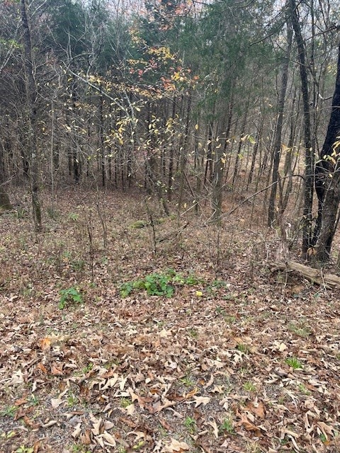 0 Ryes Chapel Rd, Southside TN, 37171 land for sale