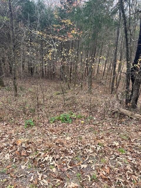 0 Ryes Chapel Rd, Southside, TN 37171 - photo 1