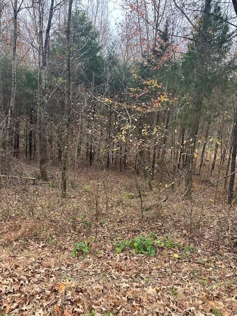 0 Ryes Chapel Rd, Southside, TN 37171 - photo 2