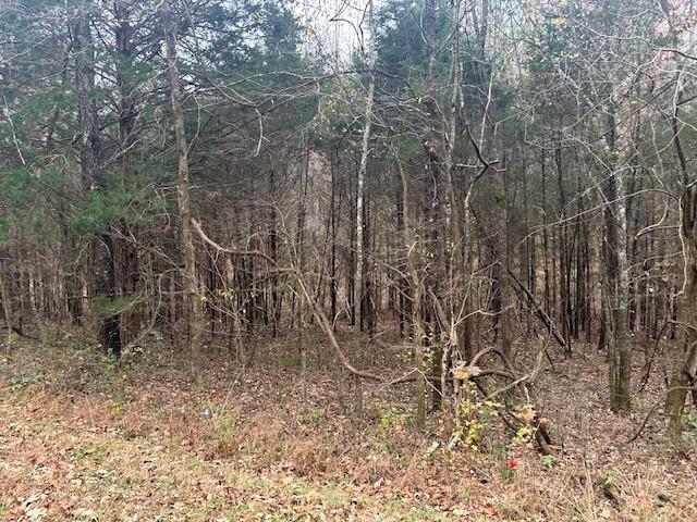 0 Ryes Chapel Rd, Southside, TN 37171 - photo 4