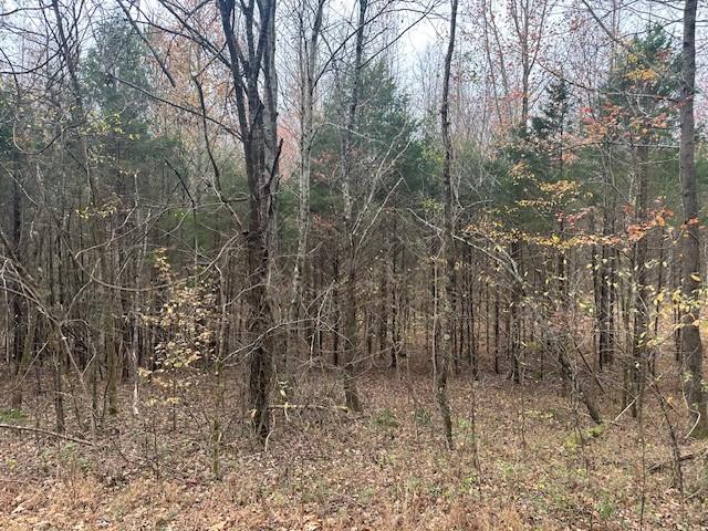 0 Ryes Chapel Rd, Southside, TN 37171 - photo 5