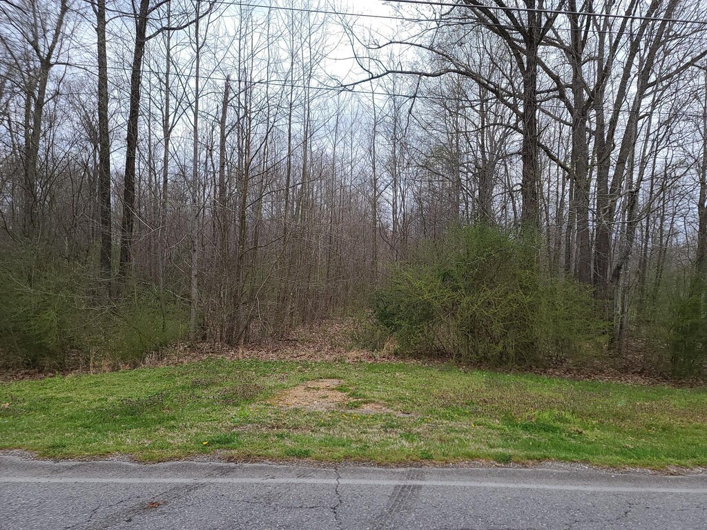 0 Long St, New Johnsonville, TN 37134 - photo 4