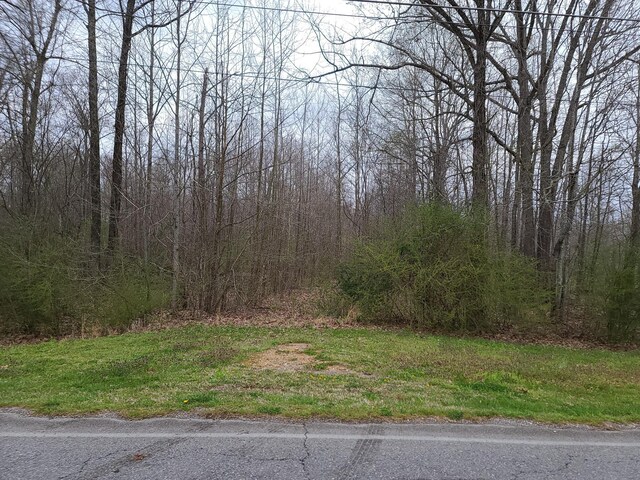 0 Long St, New Johnsonville, TN 37134 - photo 4