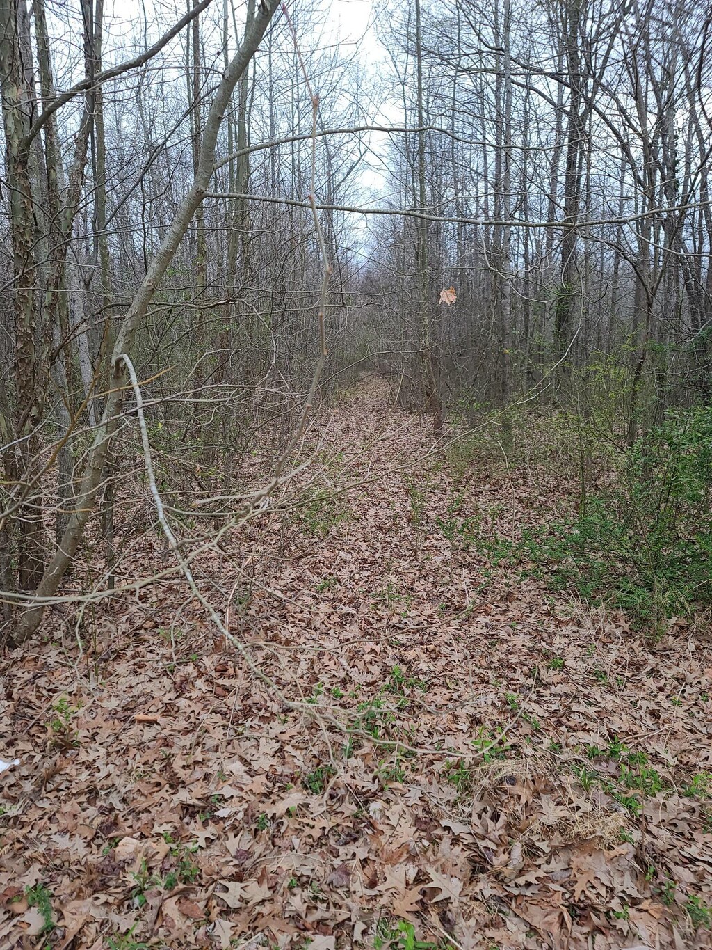 0 Long St, New Johnsonville, TN 37134 - photo 3