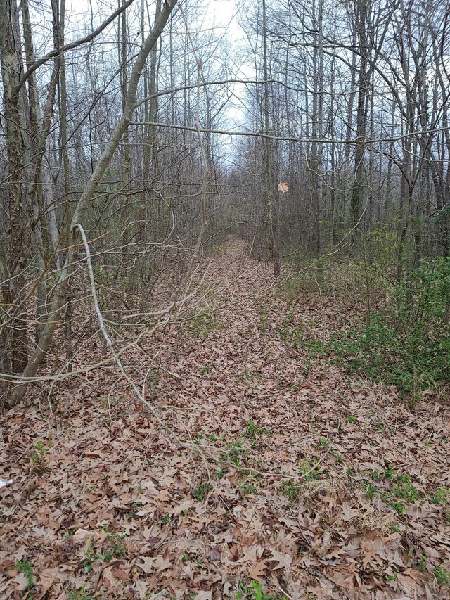 0 Long St, New Johnsonville, TN 37134 - photo 3