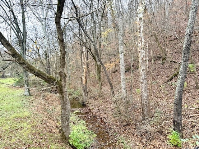 view of local wilderness