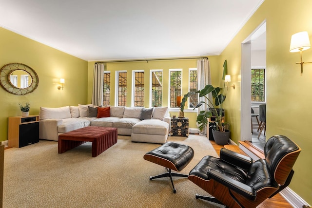 living room with a wealth of natural light