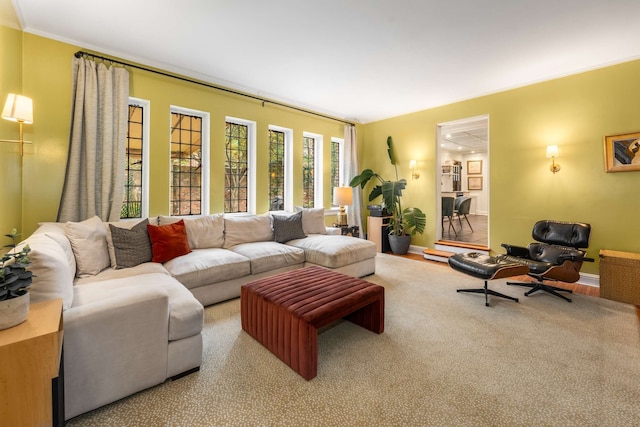 living room with carpet flooring and crown molding