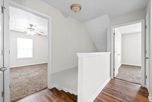 corridor featuring dark hardwood / wood-style flooring