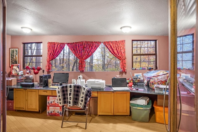 home office with a healthy amount of sunlight, a textured ceiling, and light hardwood / wood-style flooring