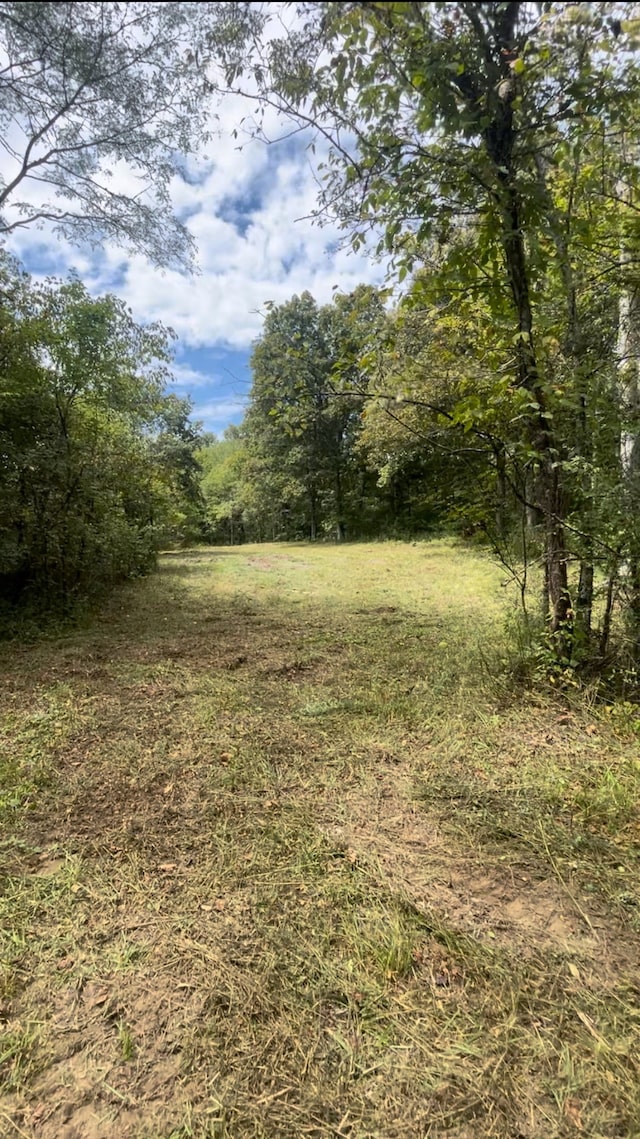 0 Plain View Ln, Spring Hill TN, 37174 land for sale