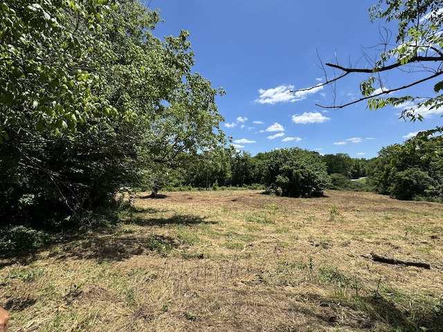 view of landscape with a rural view