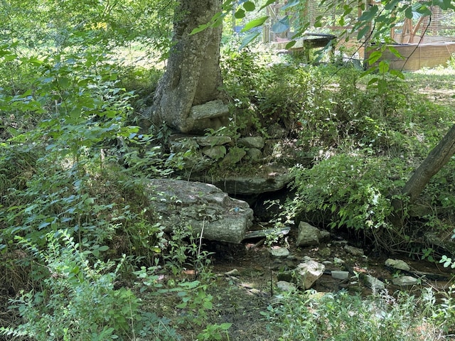 view of landscape