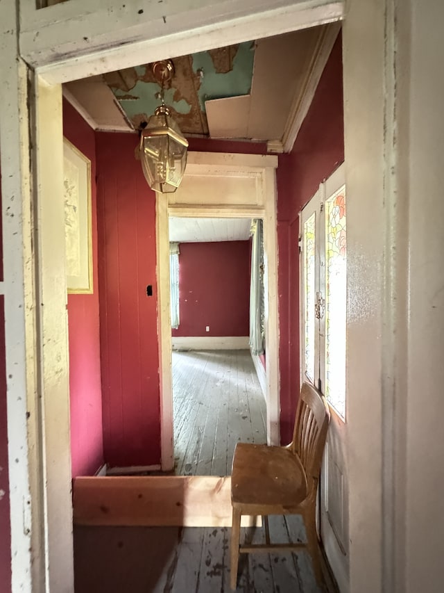 miscellaneous room featuring wood-type flooring