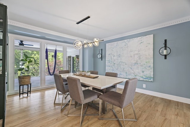 dining area featuring ceiling fan, light wood-type flooring, and ornamental molding