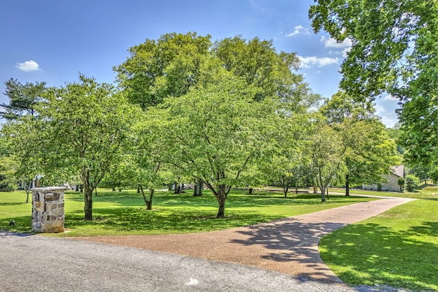 view of property's community featuring a lawn