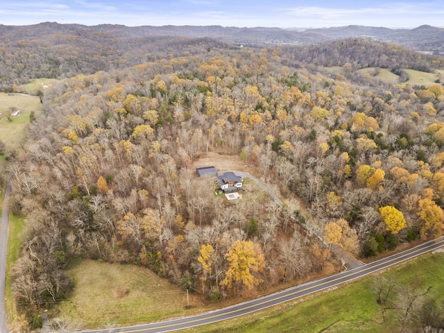 drone / aerial view featuring a mountain view