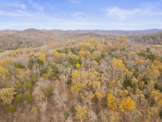 property view of mountains