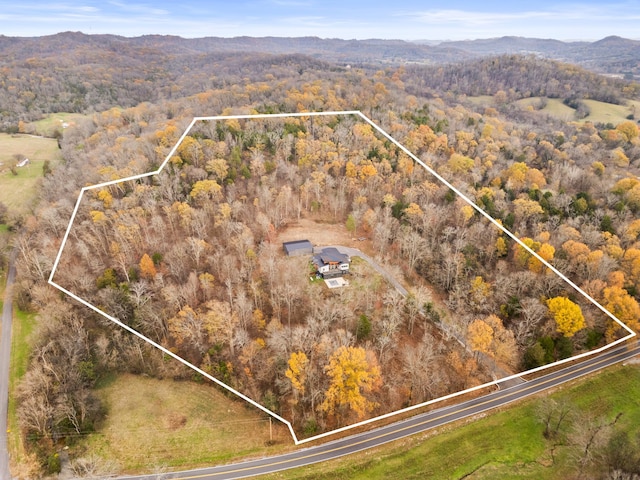 aerial view with a mountain view