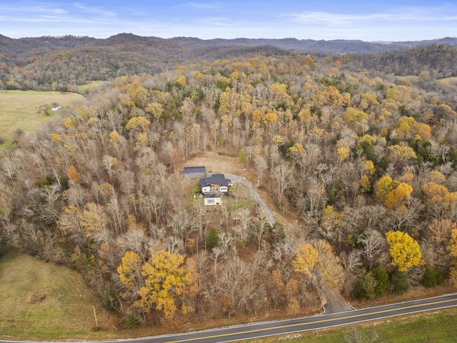 bird's eye view with a mountain view