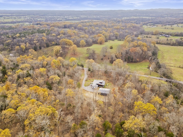 bird's eye view