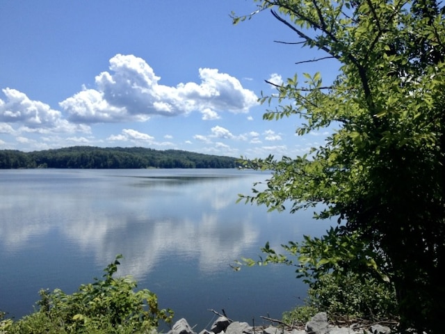 property view of water