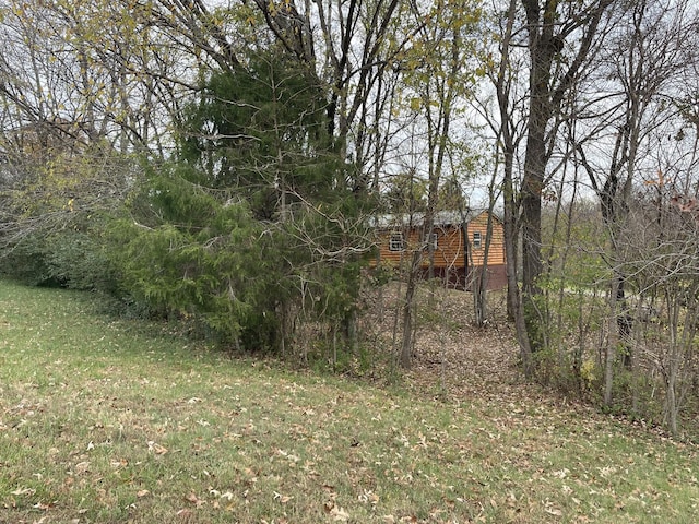 314 Birdsong Dr, Cadiz, KY 42211 - view of grassy yard