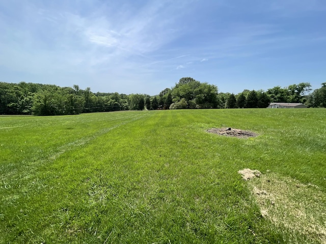 314 Birdsong Dr, Cadiz, KY 42211 - view of green lawn with a view of rural / pastoral area