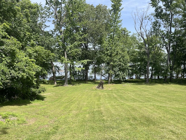 314 Birdsong Dr, Cadiz, KY 42211 - view of green lawn
