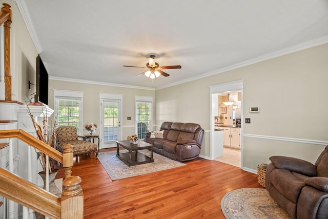 living room featuring light hardwood / wood-style flooring, ceiling fan, and ornamental molding