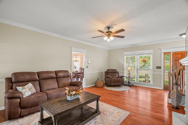 living area featuring ceiling fan with notable chandelier, light wood-type flooring, and crown molding