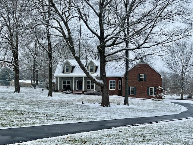 view of cape cod house