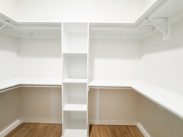 walk in closet featuring wood finished floors