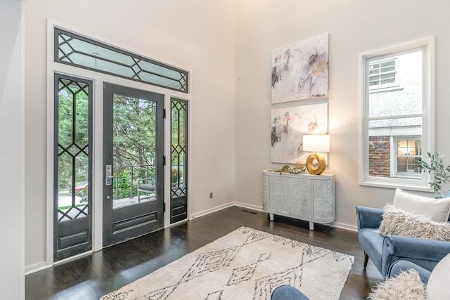 foyer entrance featuring dark wood-type flooring