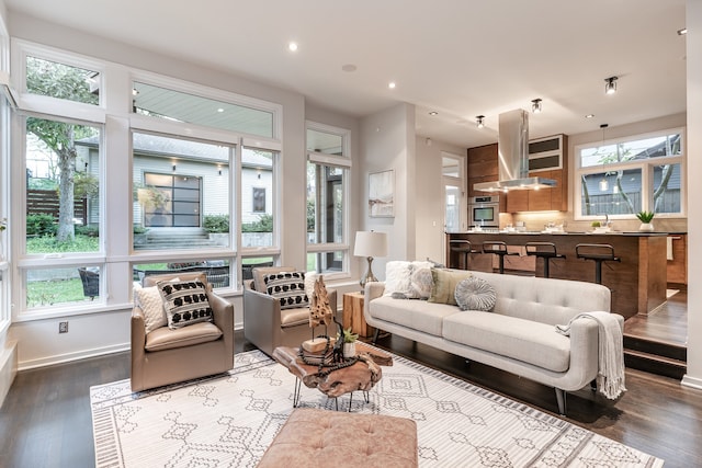 living room featuring dark hardwood / wood-style flooring