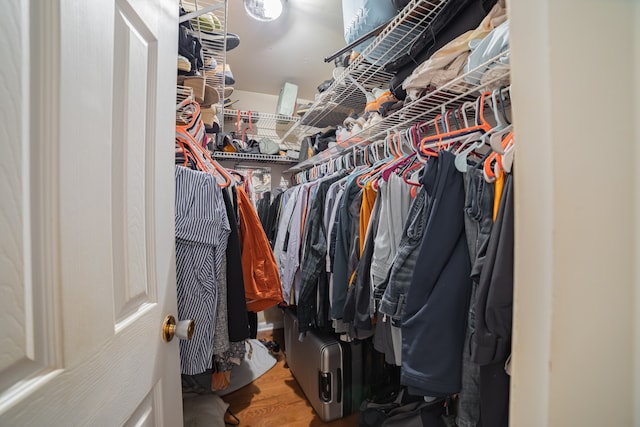 spacious closet featuring wood-type flooring