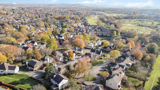 aerial view