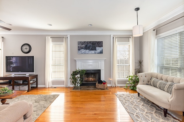 living room with light hardwood / wood-style floors and crown molding