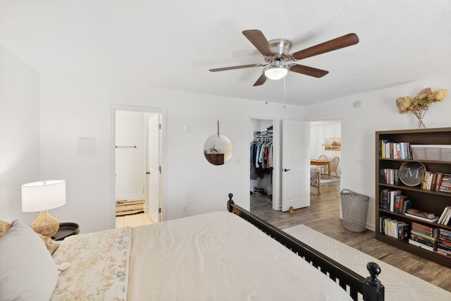 bedroom with a walk in closet, ceiling fan, connected bathroom, light hardwood / wood-style floors, and a closet