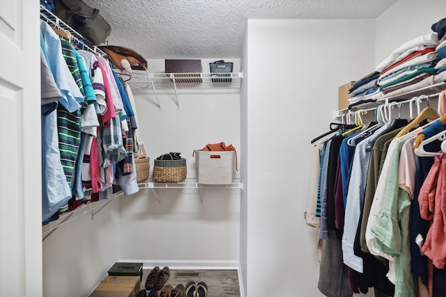 walk in closet featuring wood-type flooring