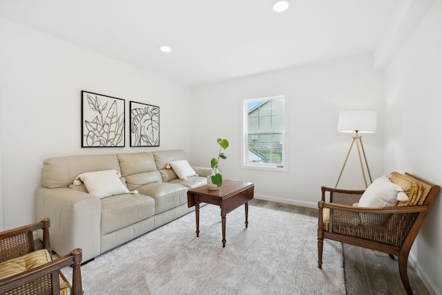 living room with light hardwood / wood-style floors