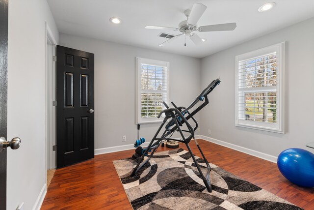 workout room featuring dark hardwood / wood-style floors and ceiling fan