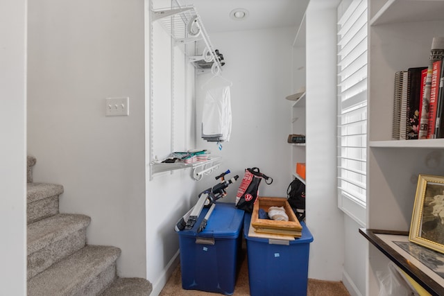 walk in closet featuring carpet