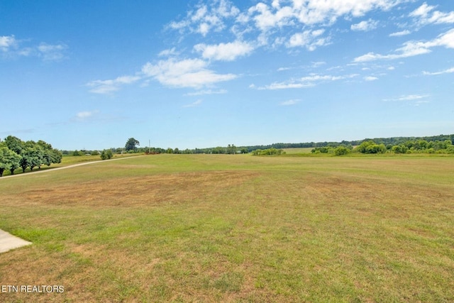 view of yard with a rural view