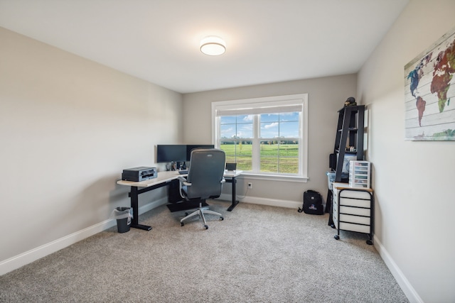 office area featuring carpet floors