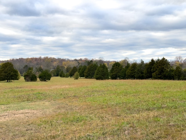 view of local wilderness featuring a rural view